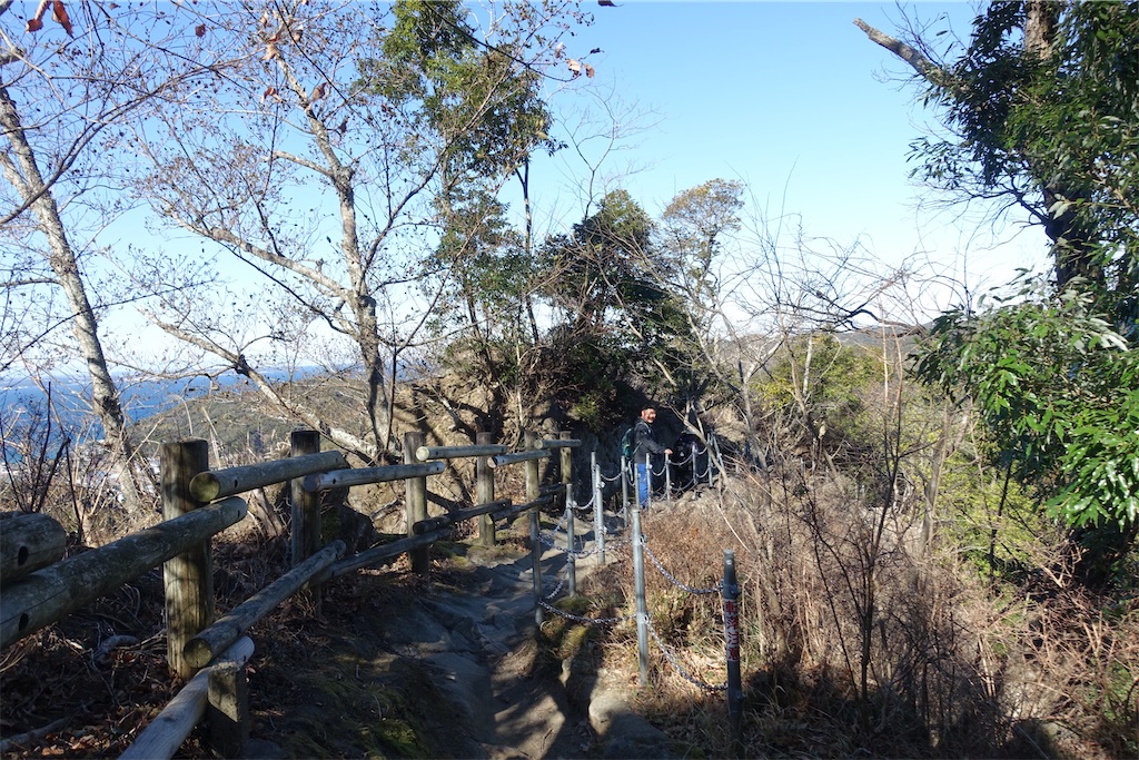 f:id:road_mushi:20250130124918j:image