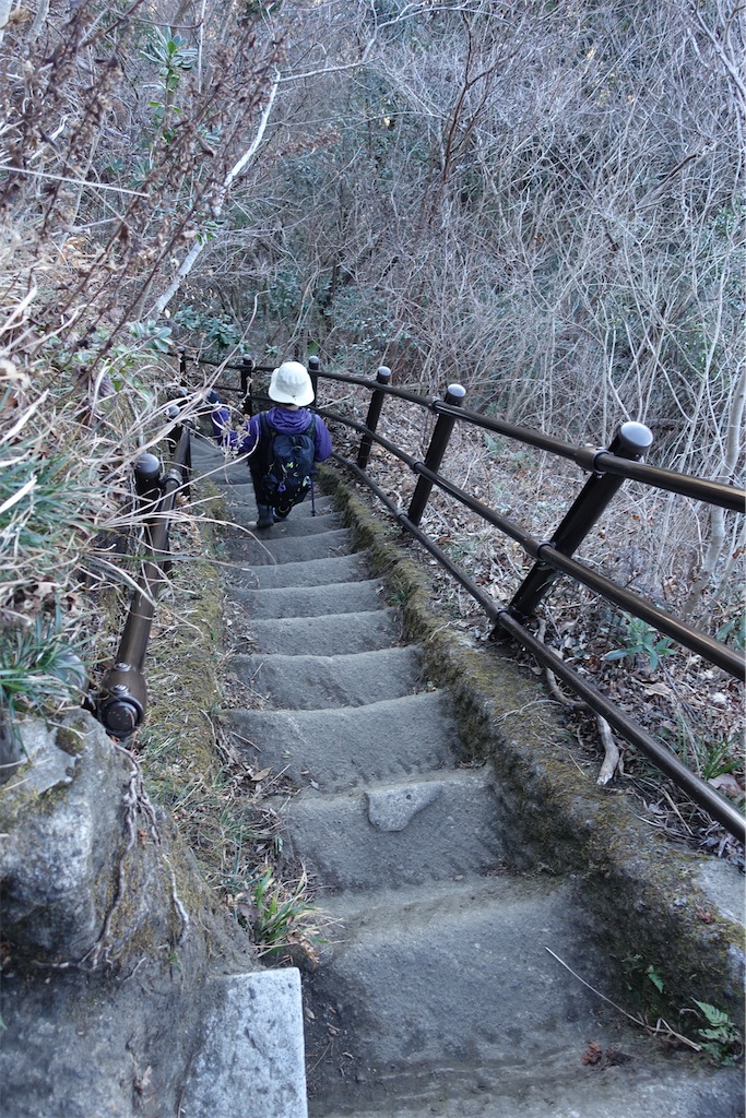 f:id:road_mushi:20250130124925j:image