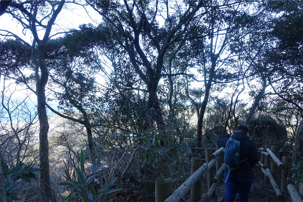 f:id:road_mushi:20250130125017j:image