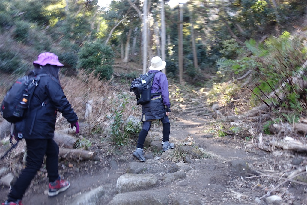f:id:road_mushi:20250130125020j:image