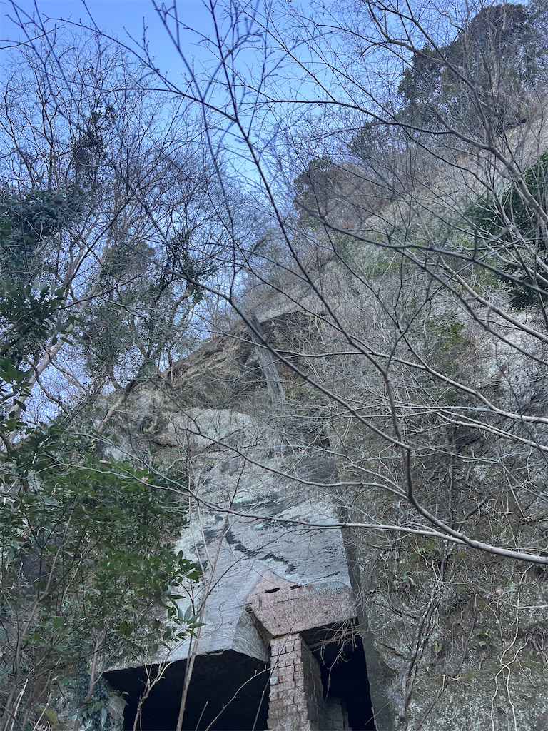 f:id:road_mushi:20250130125048j:image