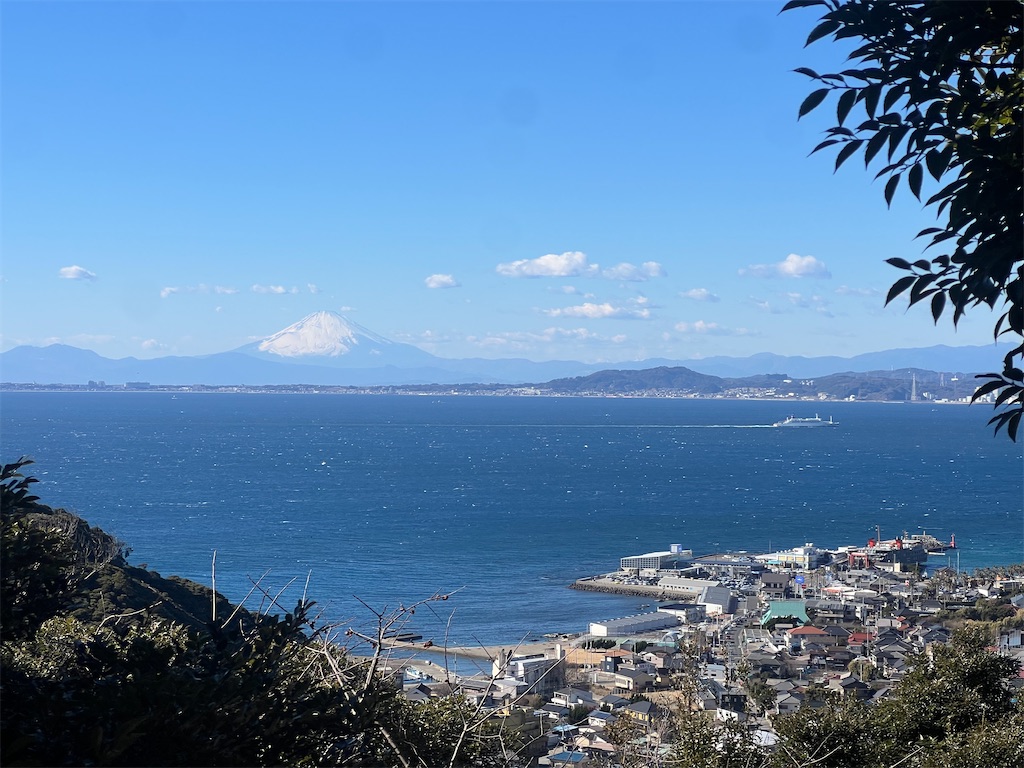f:id:road_mushi:20250130125051j:image