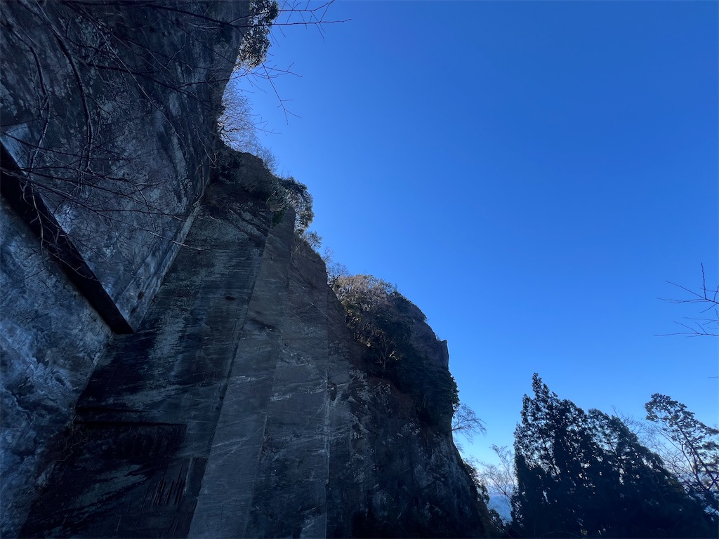 f:id:road_mushi:20250130125058j:image