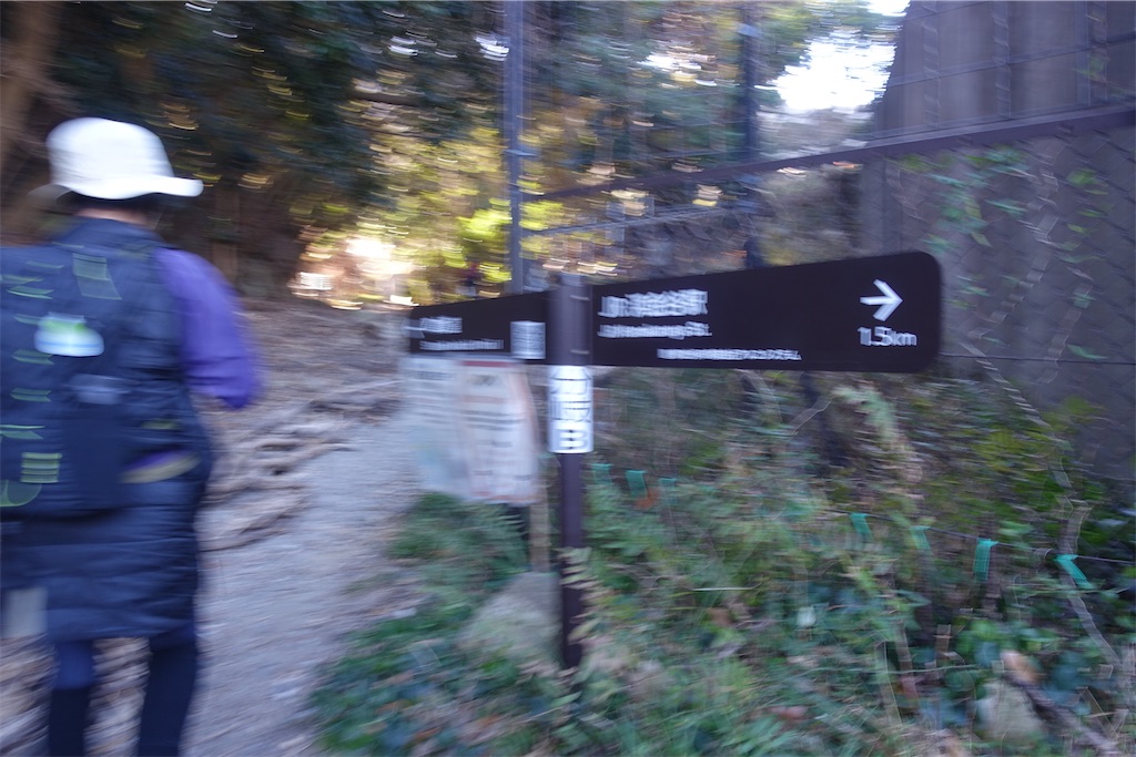 f:id:road_mushi:20250130125106j:image