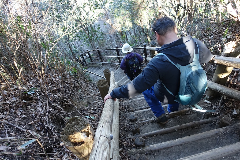 f:id:road_mushi:20250130125137j:image