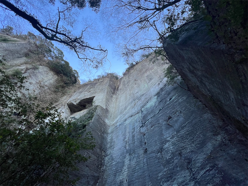 f:id:road_mushi:20250130125141j:image