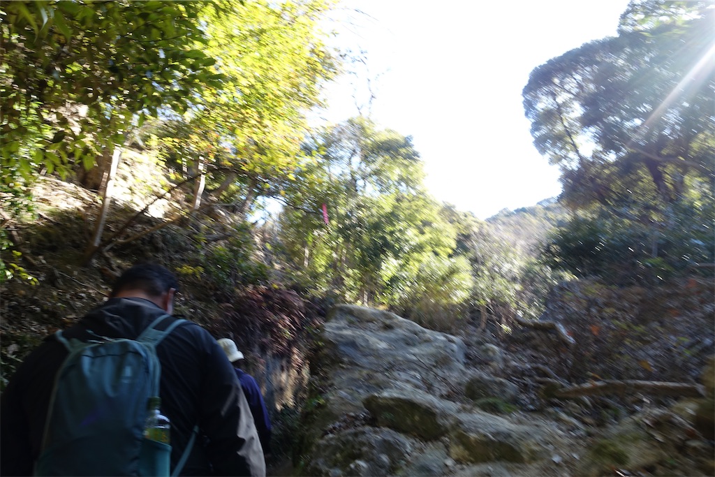 f:id:road_mushi:20250130125147j:image