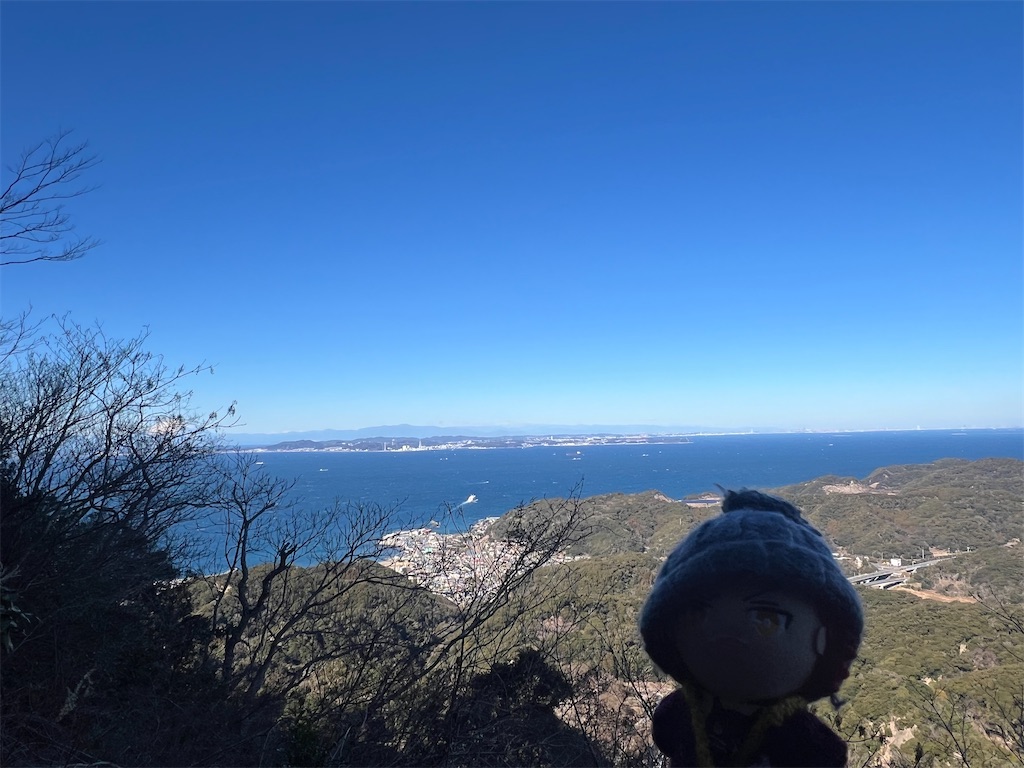 f:id:road_mushi:20250130125202j:image