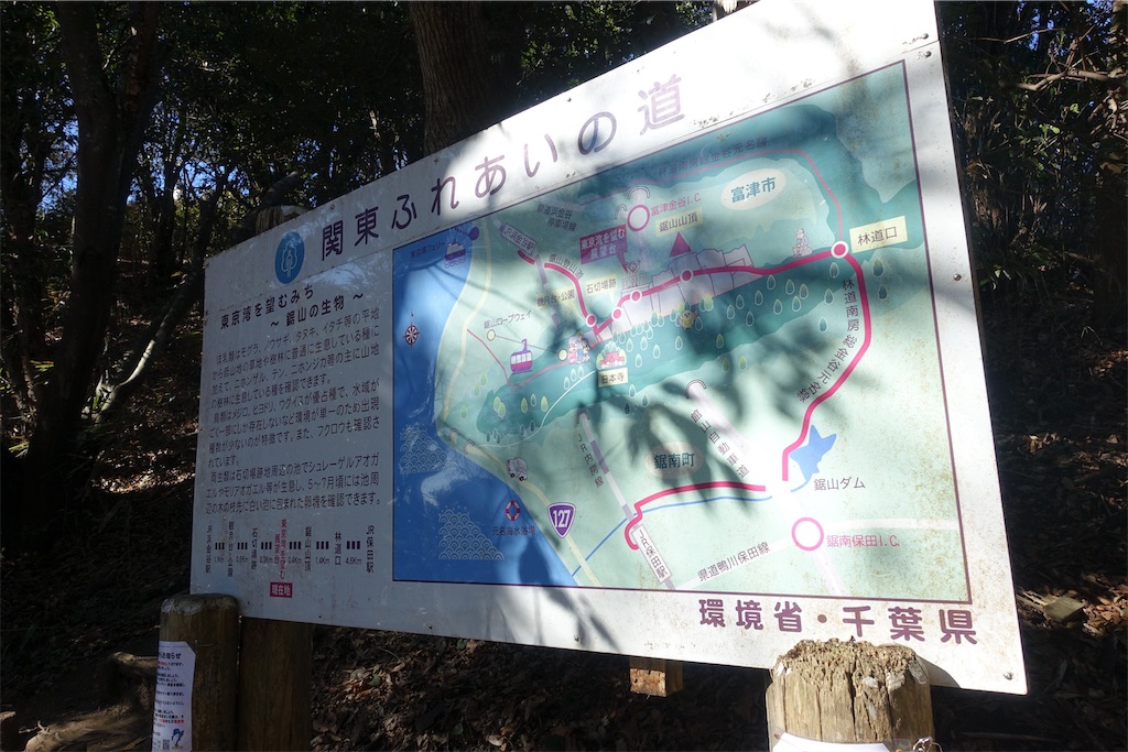 f:id:road_mushi:20250130125210j:image