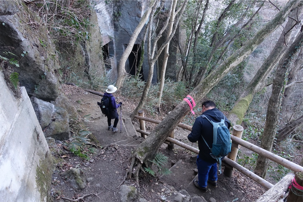 f:id:road_mushi:20250130125246j:image