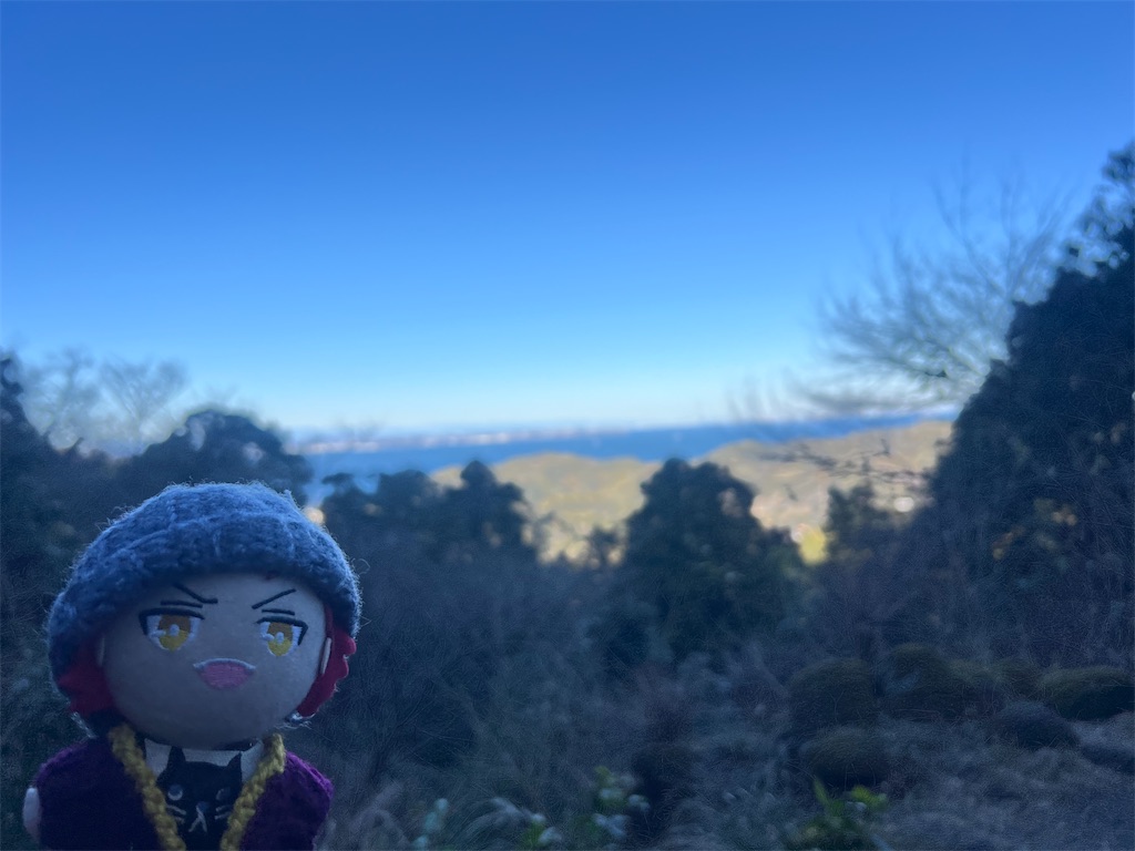 f:id:road_mushi:20250130125250j:image