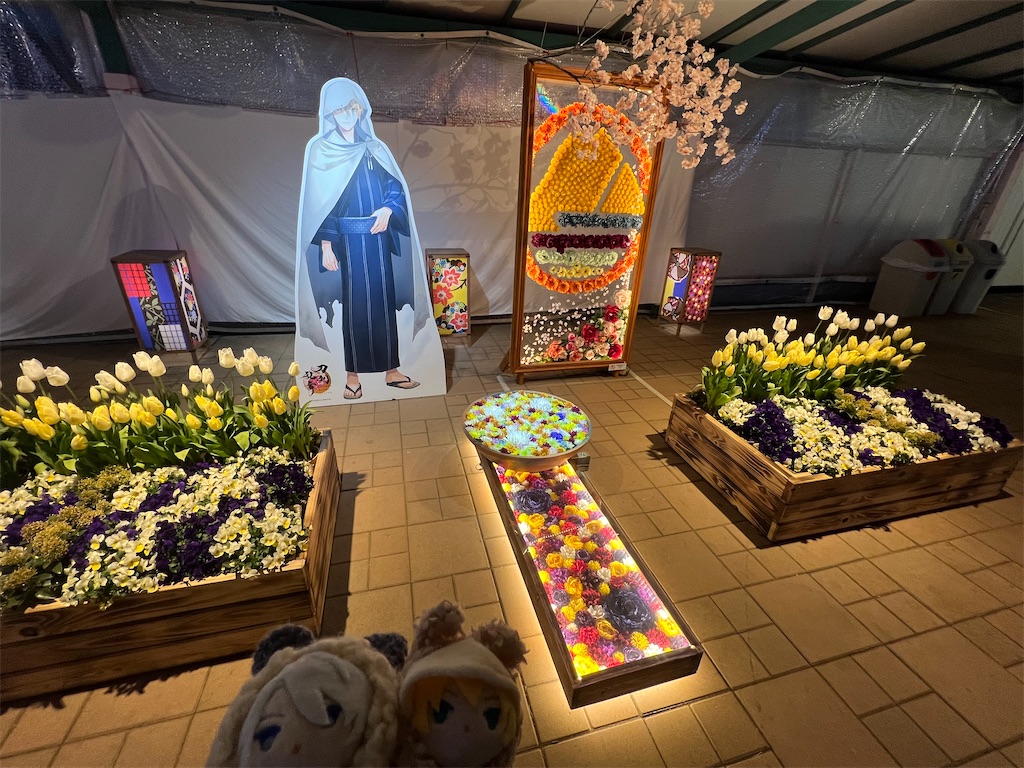 f:id:road_mushi:20250224145157j:image
