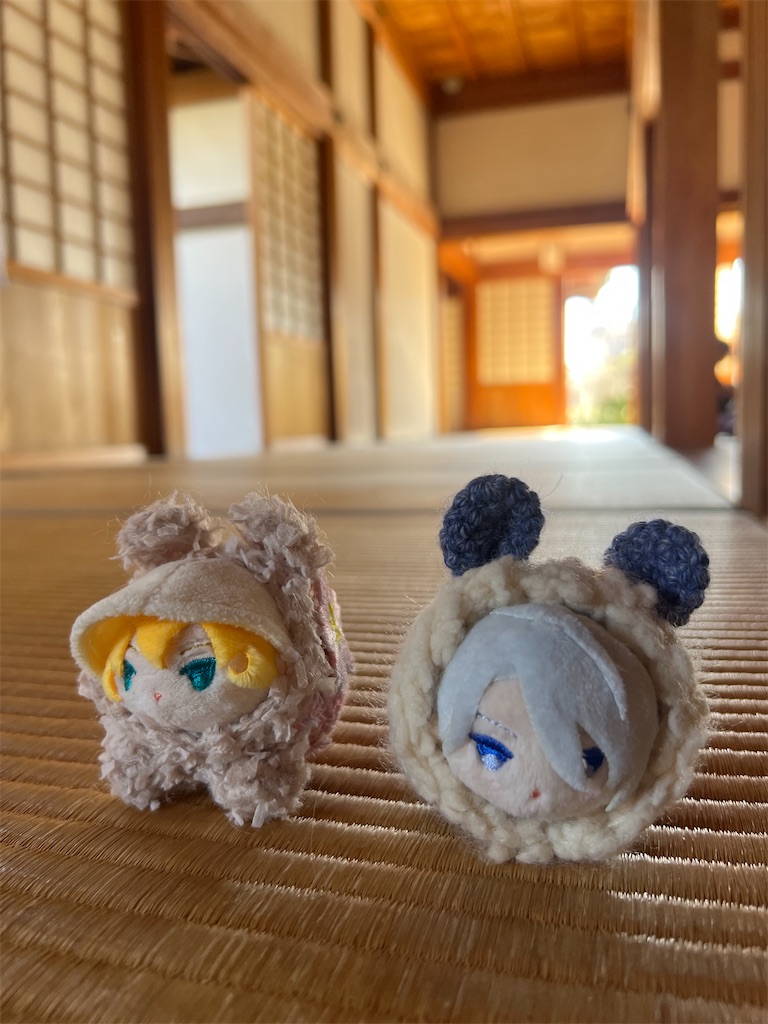 f:id:road_mushi:20250224145211j:image