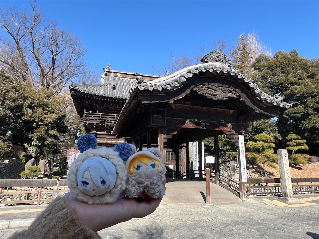 f:id:road_mushi:20250224145304j:image