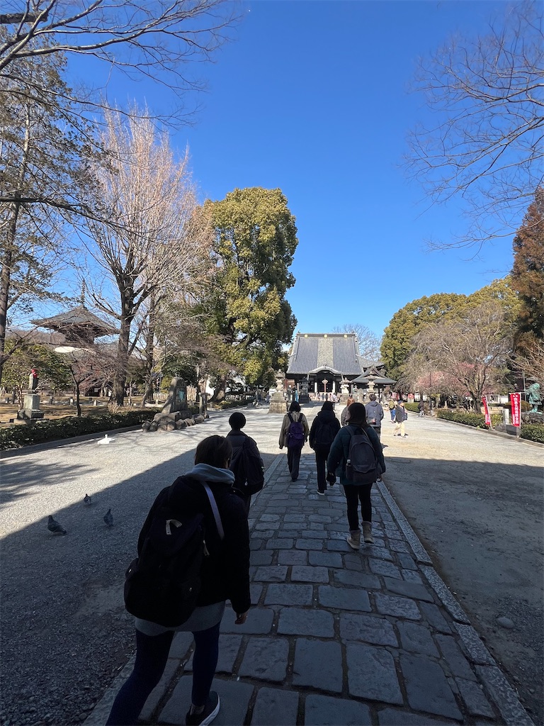 f:id:road_mushi:20250224145403j:image