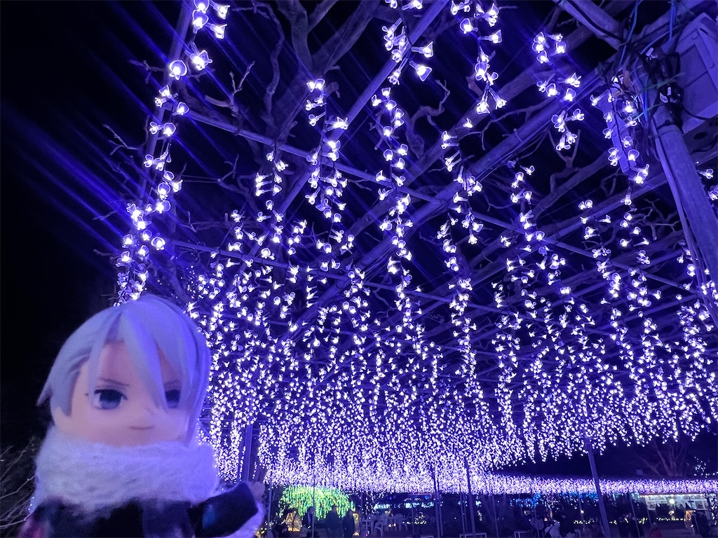 f:id:road_mushi:20250224145409j:image