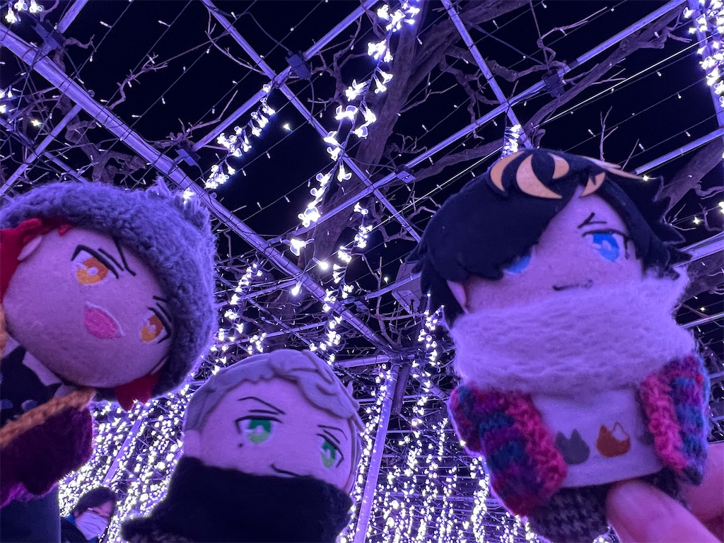 f:id:road_mushi:20250224145434j:image