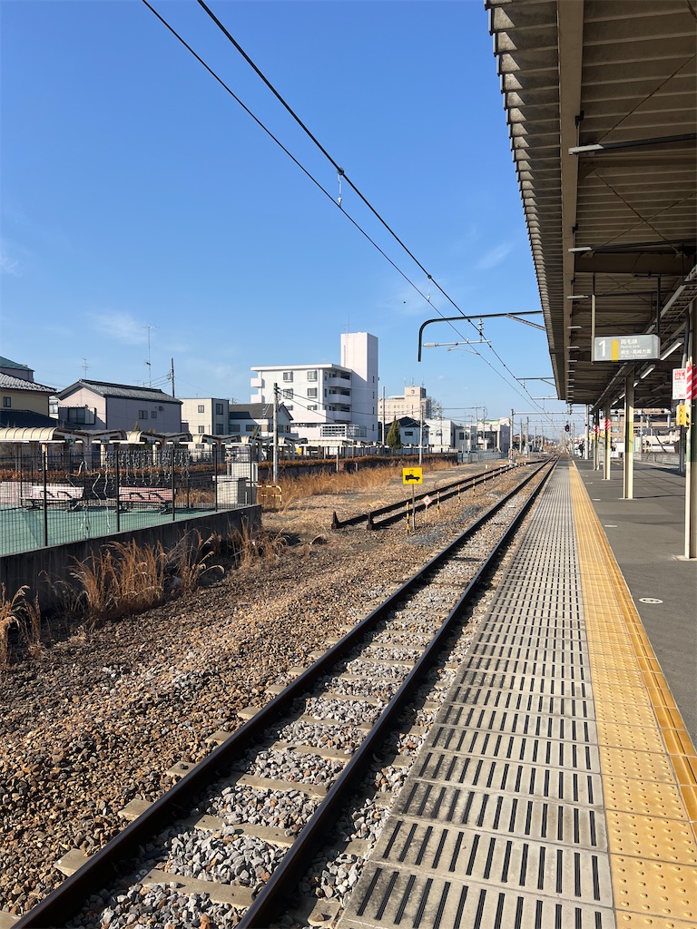 f:id:road_mushi:20250305184108j:image
