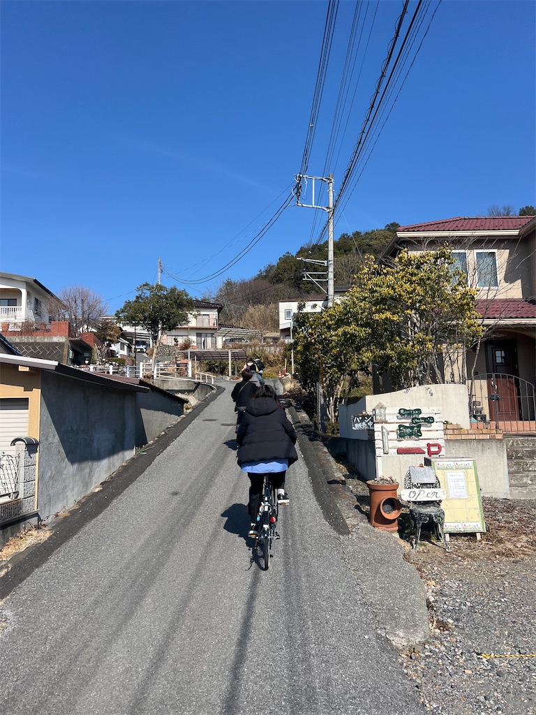 f:id:road_mushi:20250305184359j:image