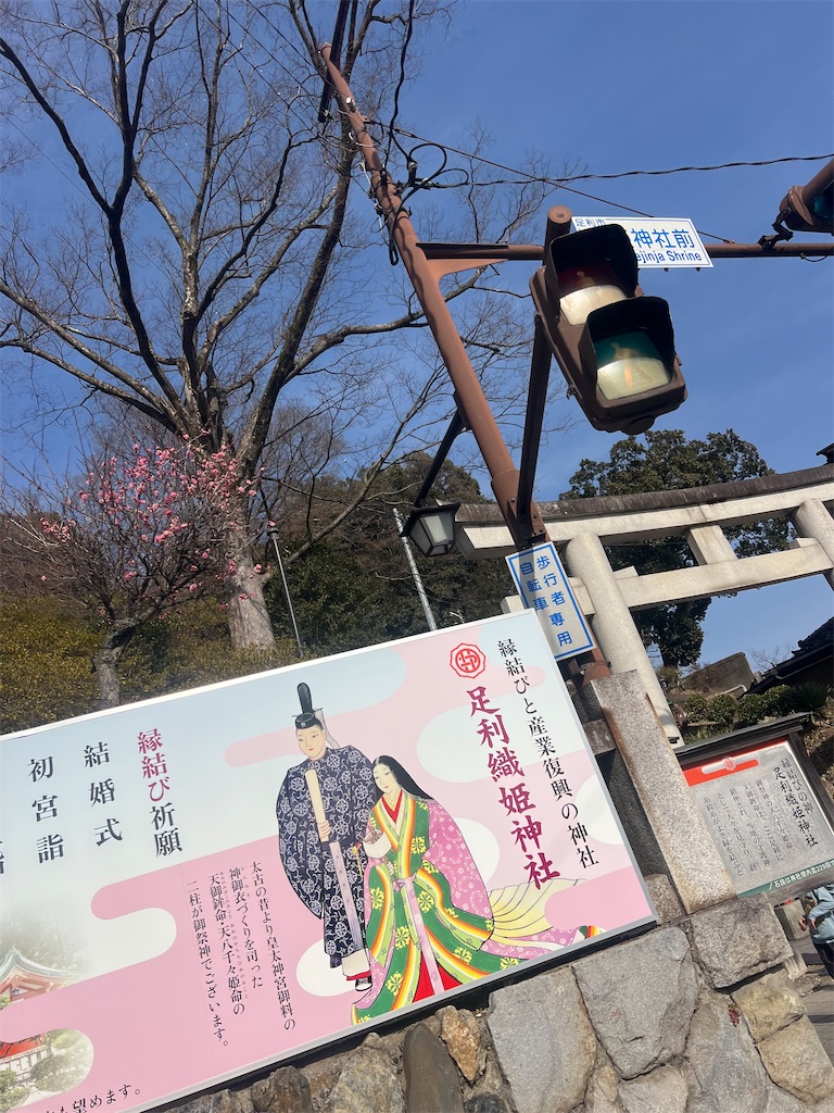 f:id:road_mushi:20250305184638j:image