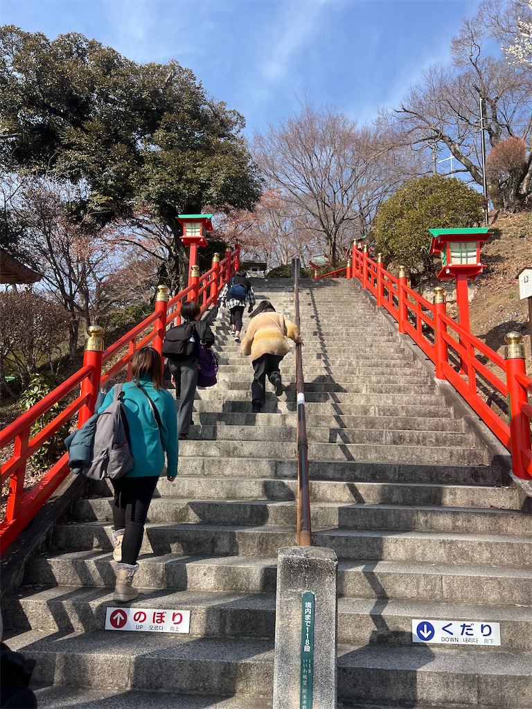f:id:road_mushi:20250305184643j:image