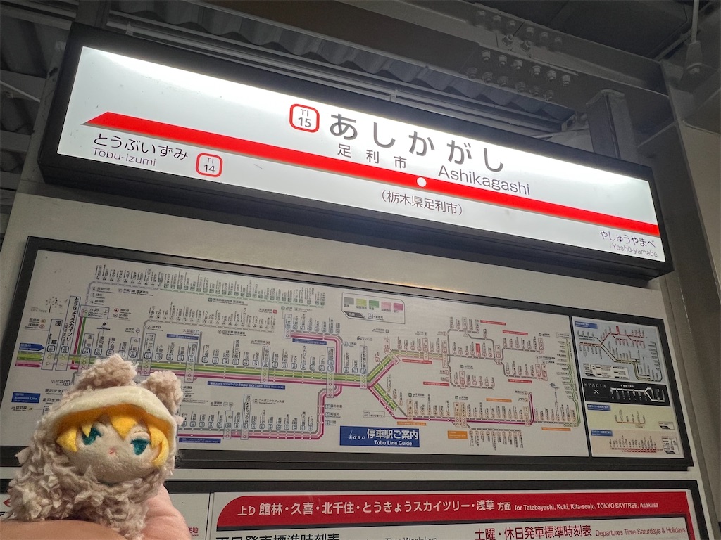 f:id:road_mushi:20250305184715j:image