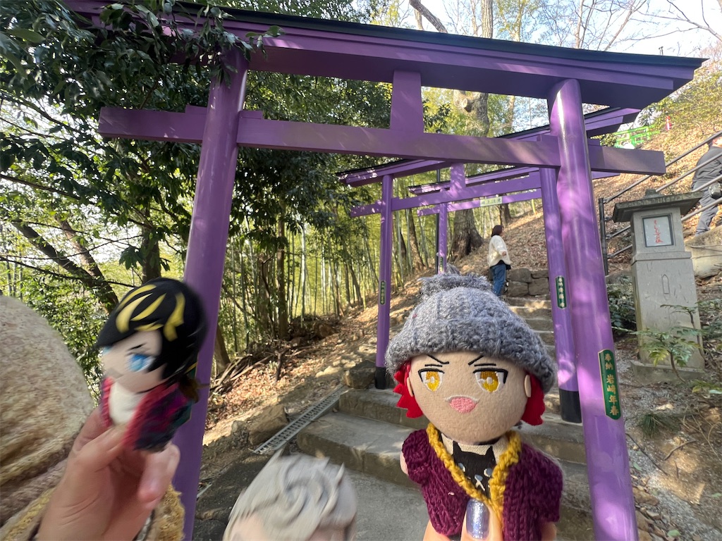 f:id:road_mushi:20250305184818j:image