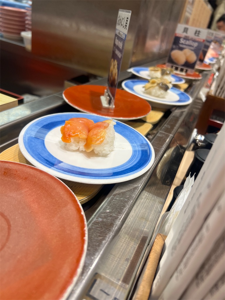 f:id:road_mushi:20250307100957j:image