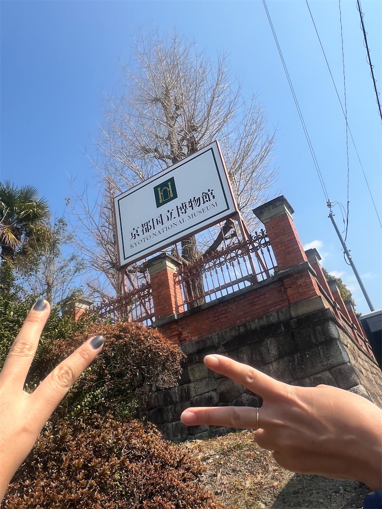 f:id:road_mushi:20250307101002j:image