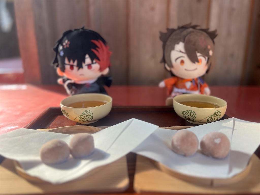 f:id:road_mushi:20250307101152j:image