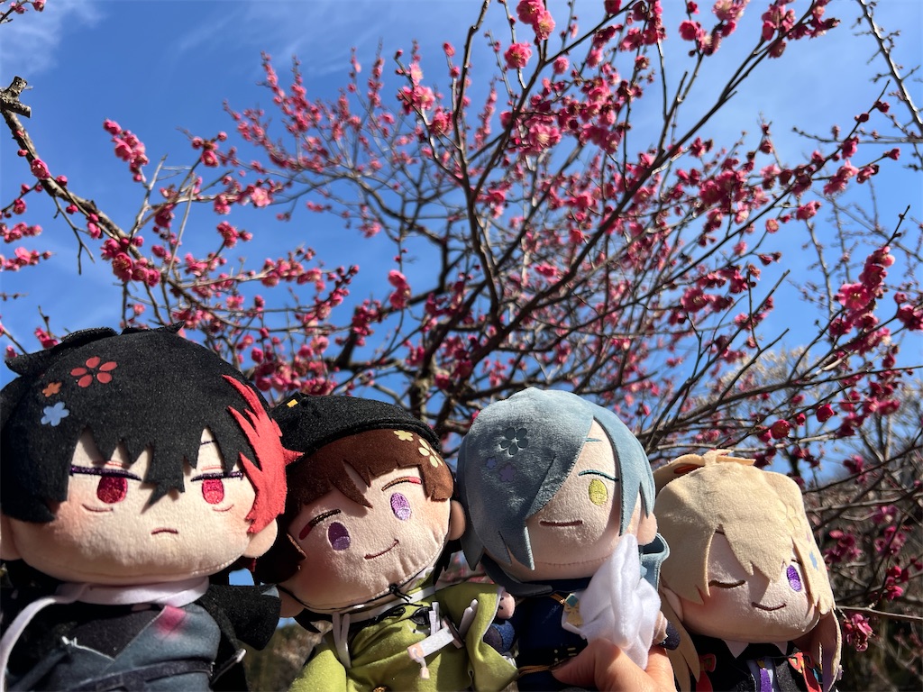 f:id:road_mushi:20250307101248j:image