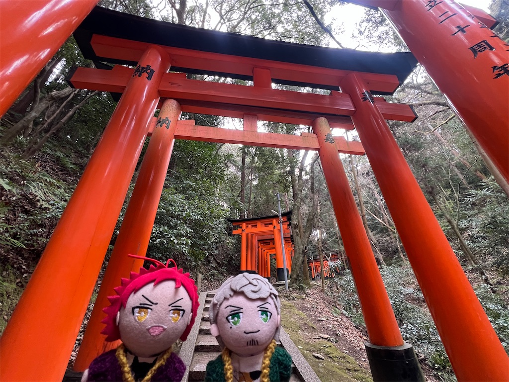 f:id:road_mushi:20250307101258j:image
