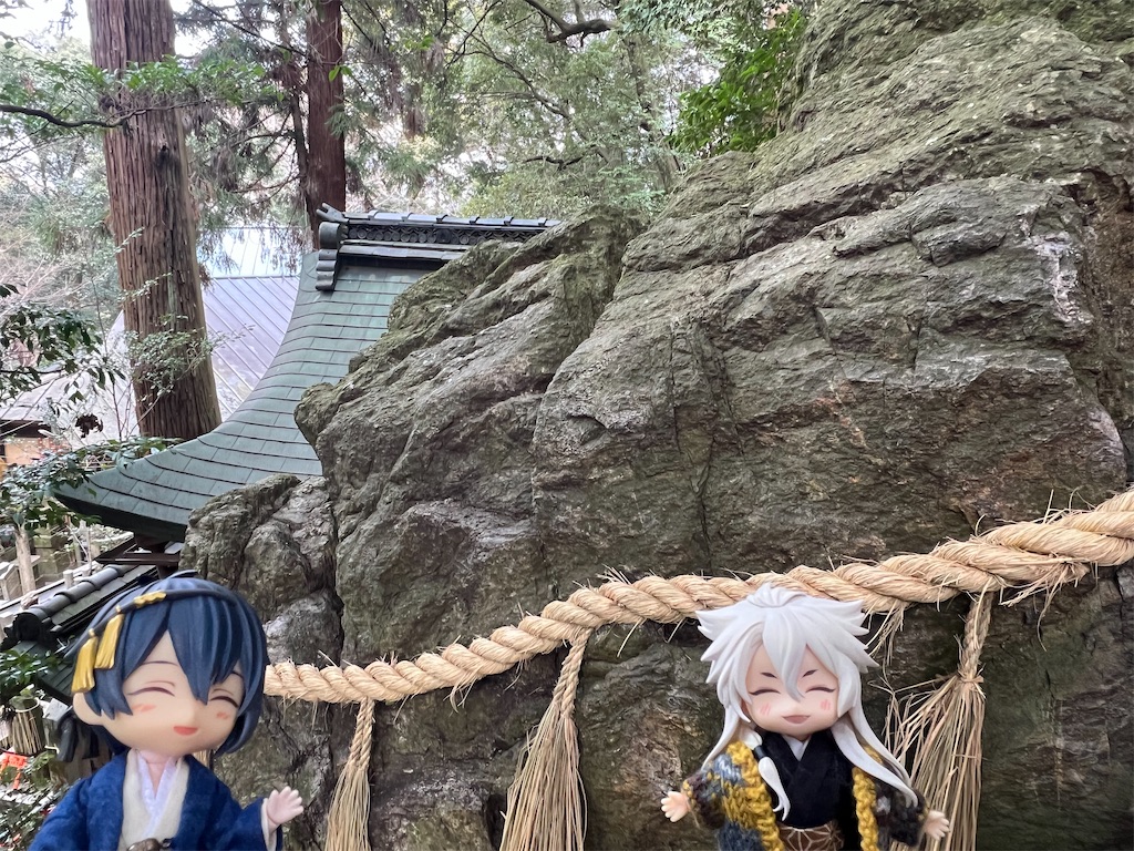 f:id:road_mushi:20250307101345j:image