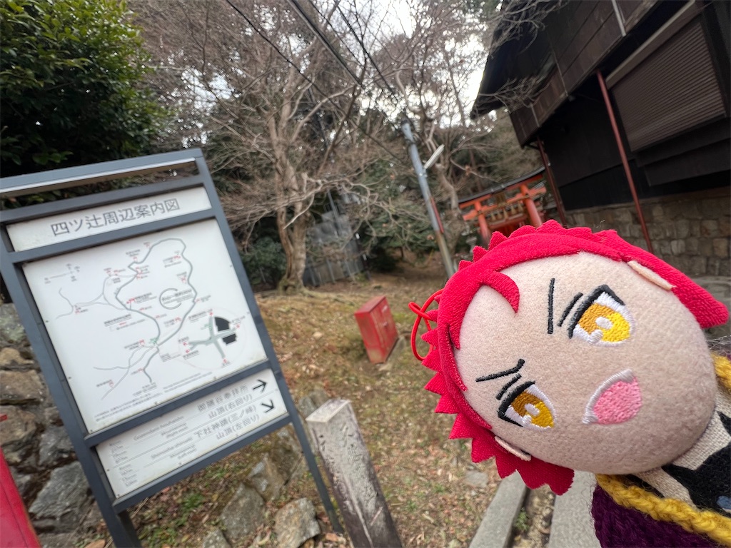 f:id:road_mushi:20250307101437j:image
