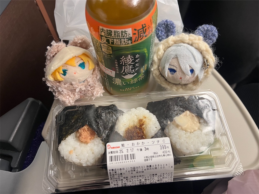 f:id:road_mushi:20250307123311j:image
