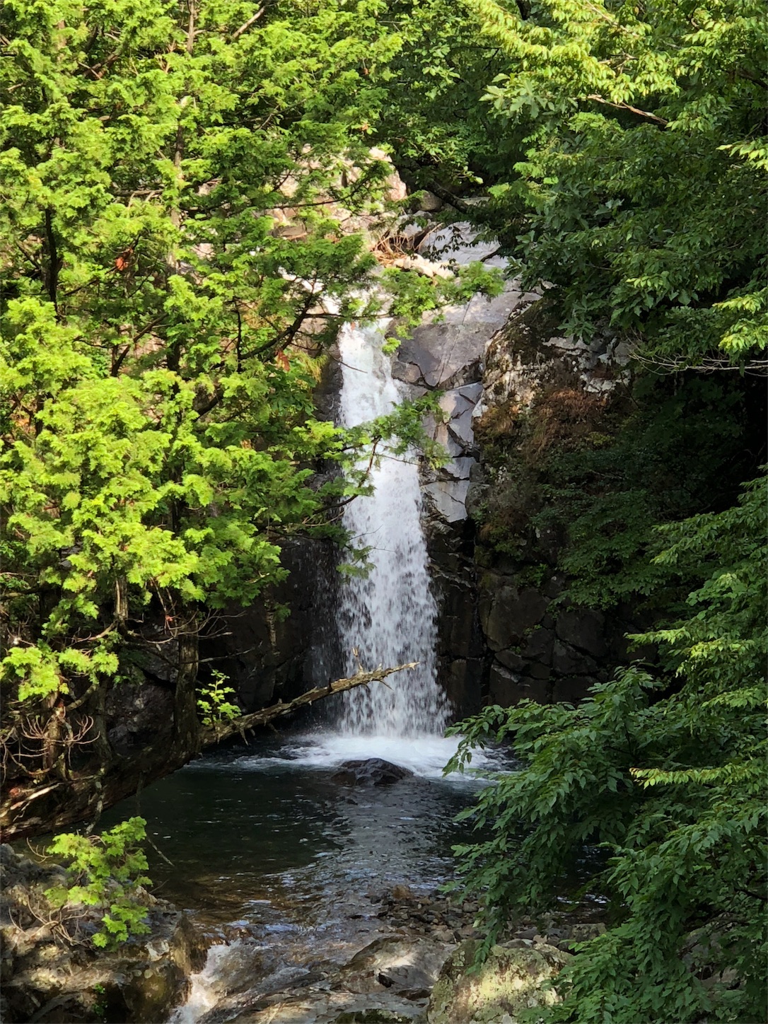 f:id:roadsamurai:20180907214032j:image f:id:roadsamurai:20180907214032j:image