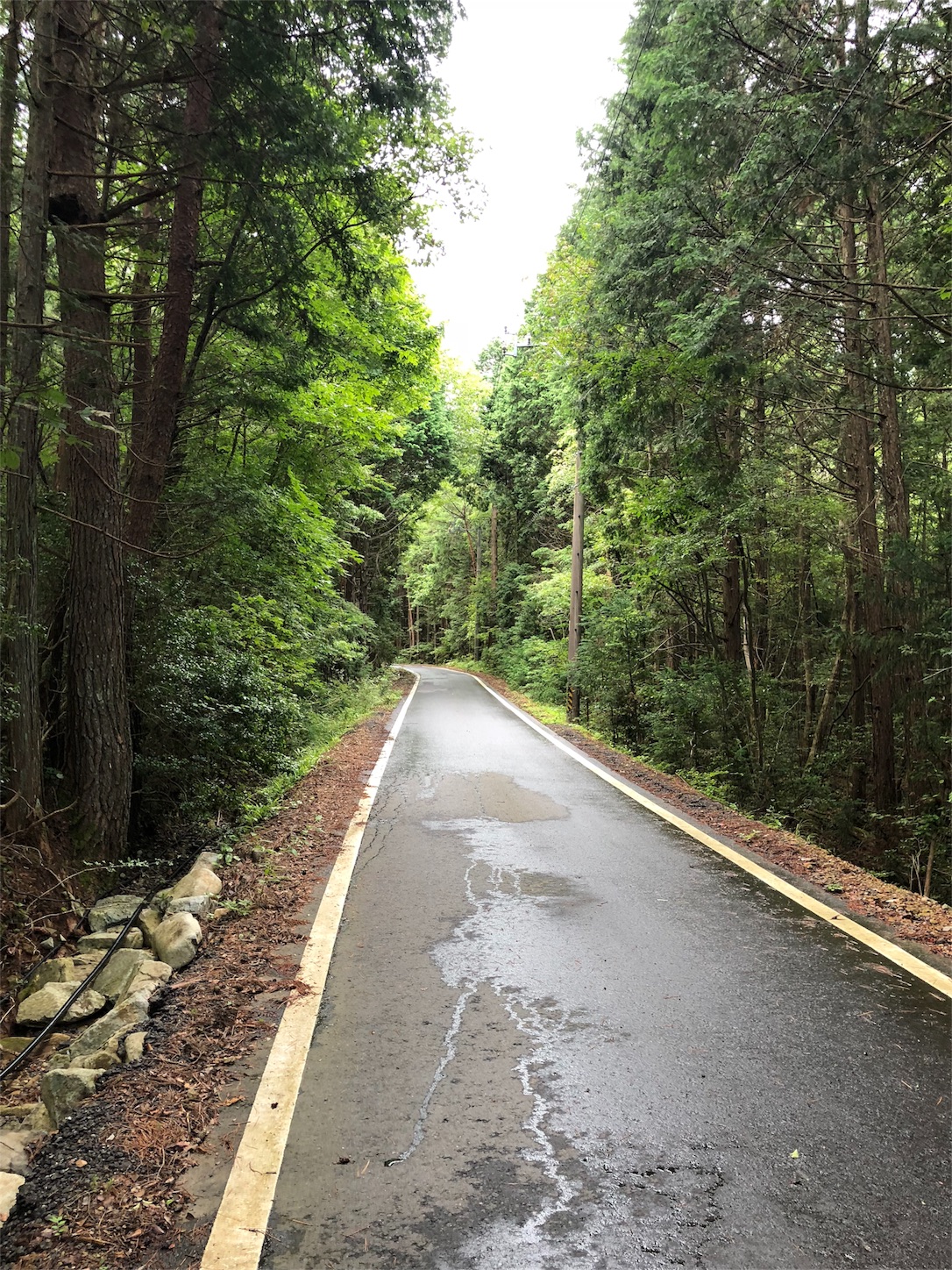 f:id:roadsamurai:20180907223316j:image f:id:roadsamurai:20180907223316j:image
