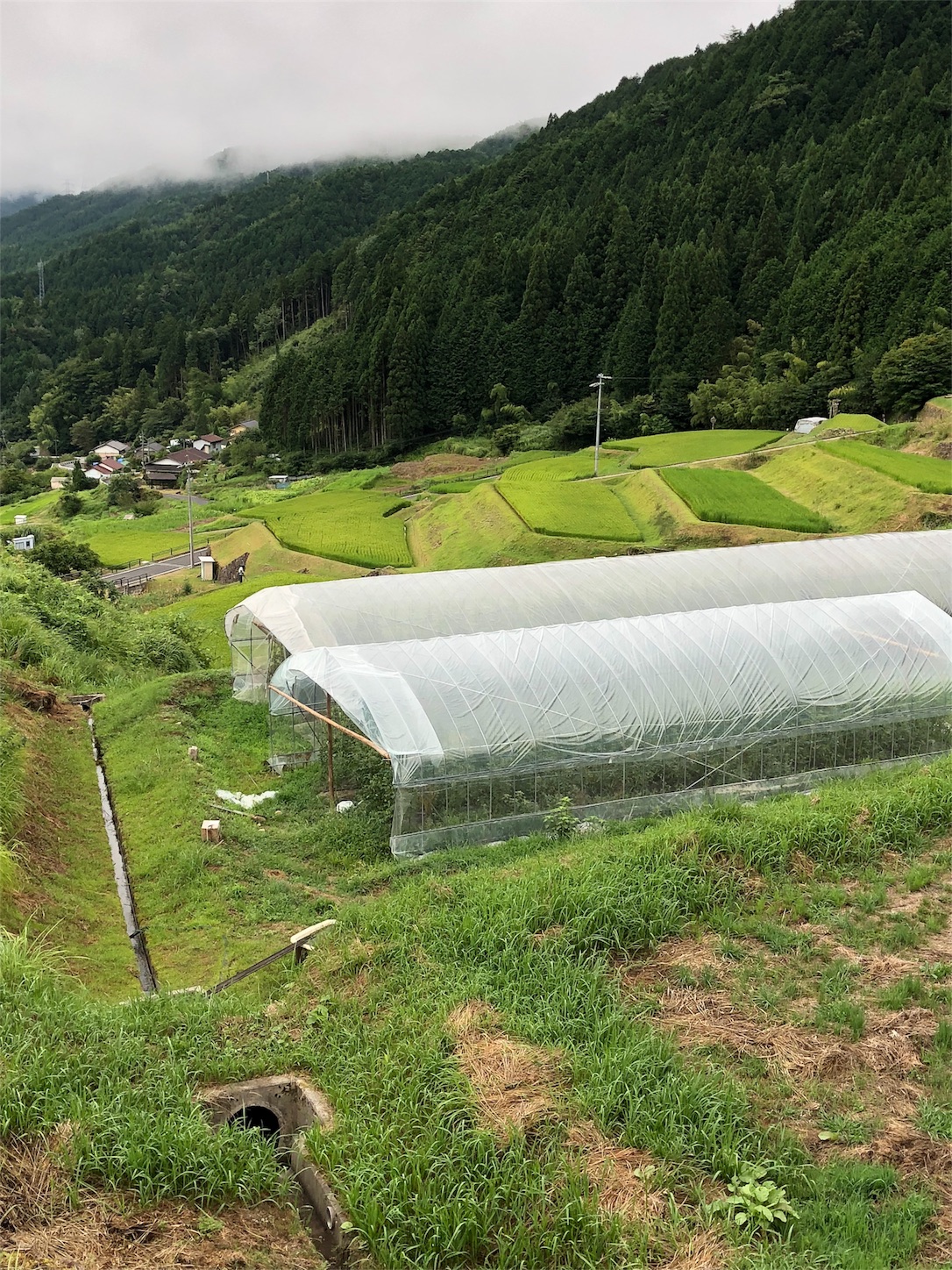 f:id:roadsamurai:20180907223446j:image f:id:roadsamurai:20180907223446j:image