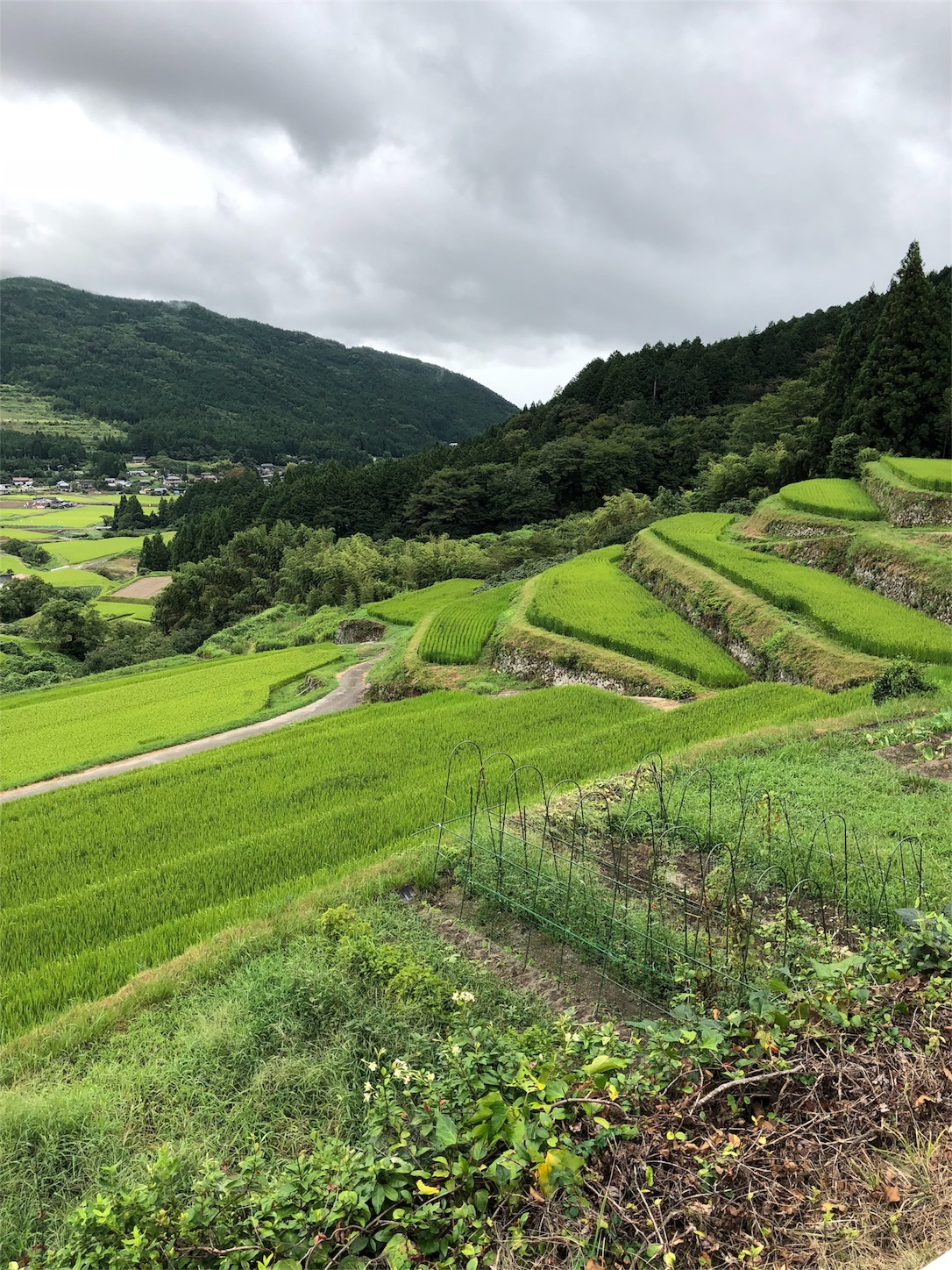 f:id:roadsamurai:20180907223452j:image f:id:roadsamurai:20180907223452j:image