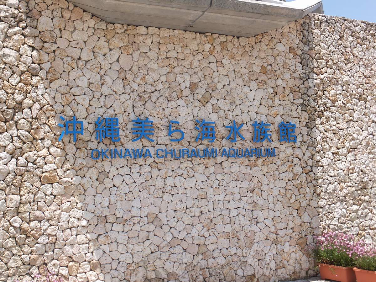 f:id:roamingaroundjp:20171210213735j:plain