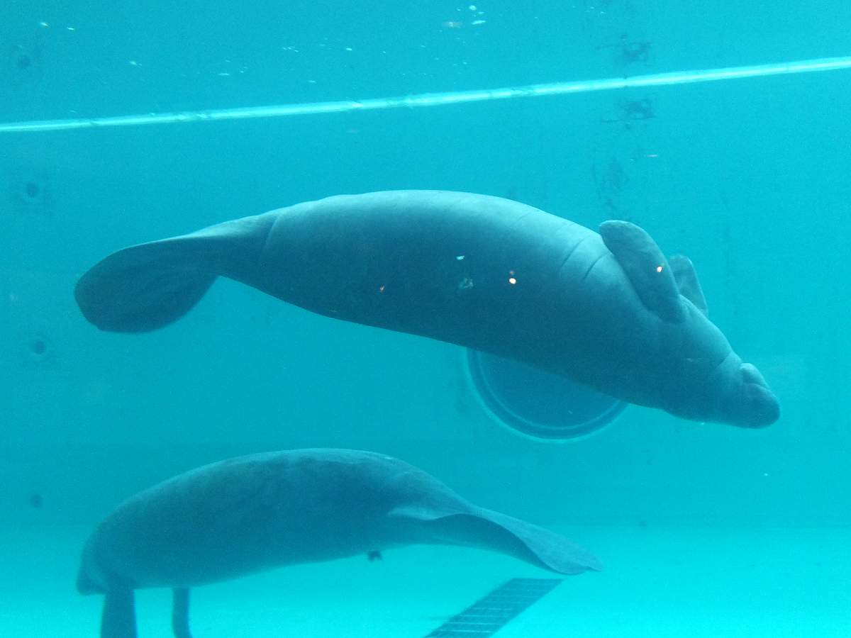 f:id:roamingaroundjp:20171210213736j:plain