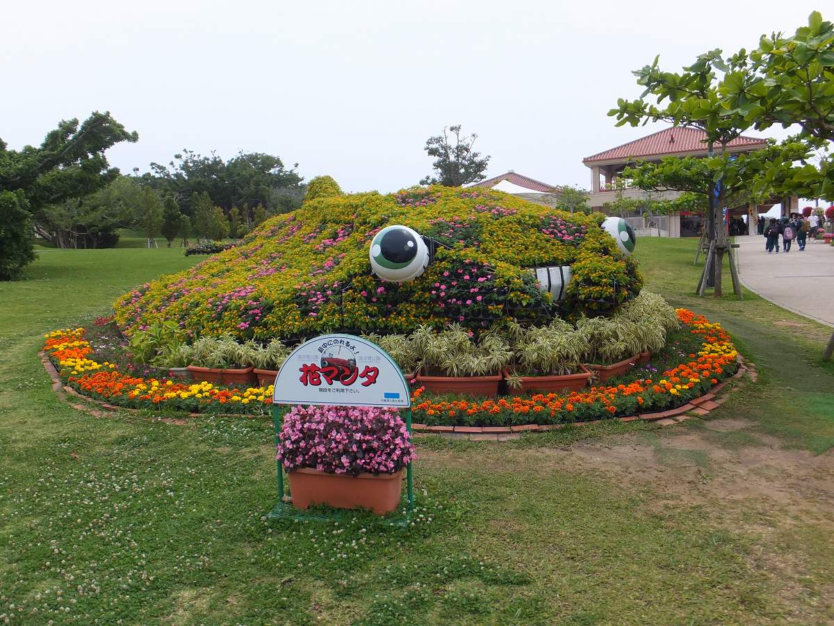 f:id:roamingaroundjp:20171210213747j:plain