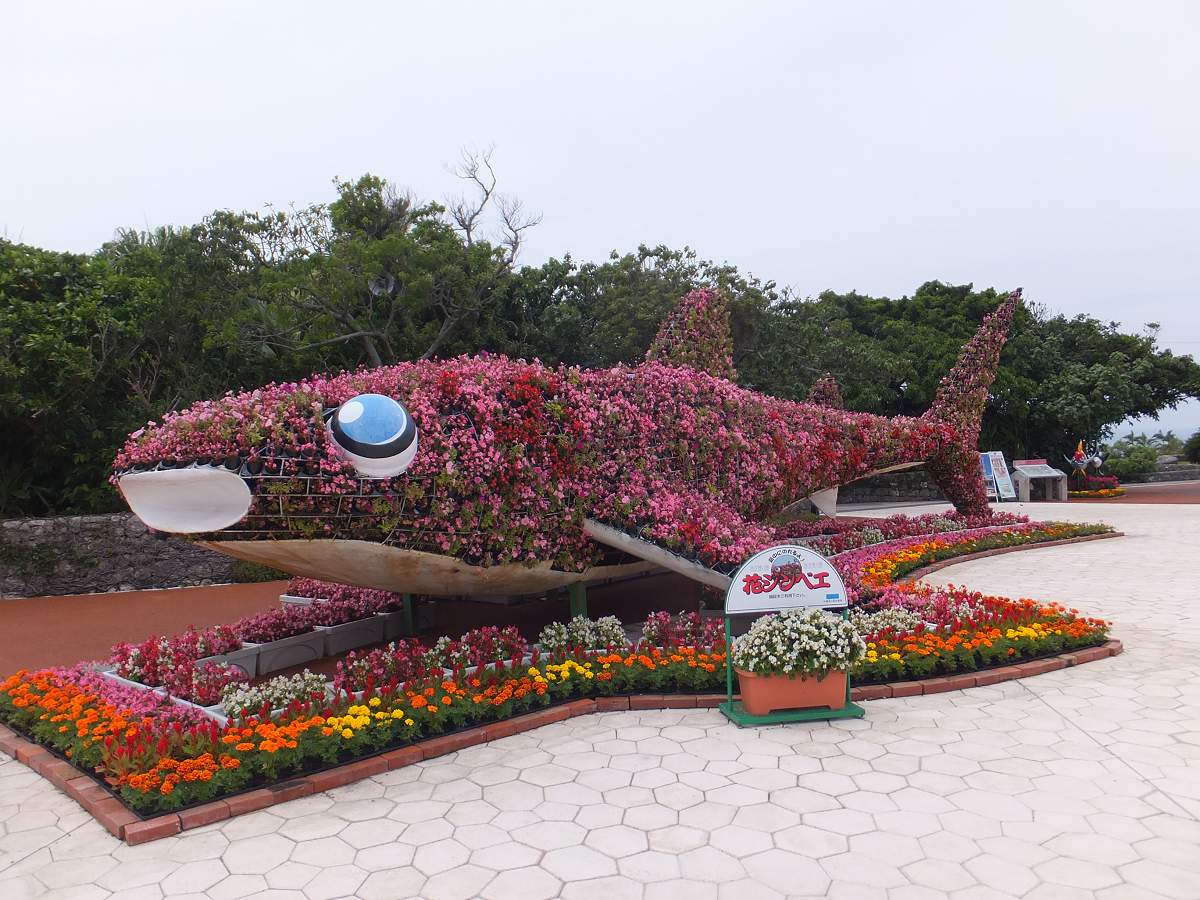 f:id:roamingaroundjp:20171210213749j:plain