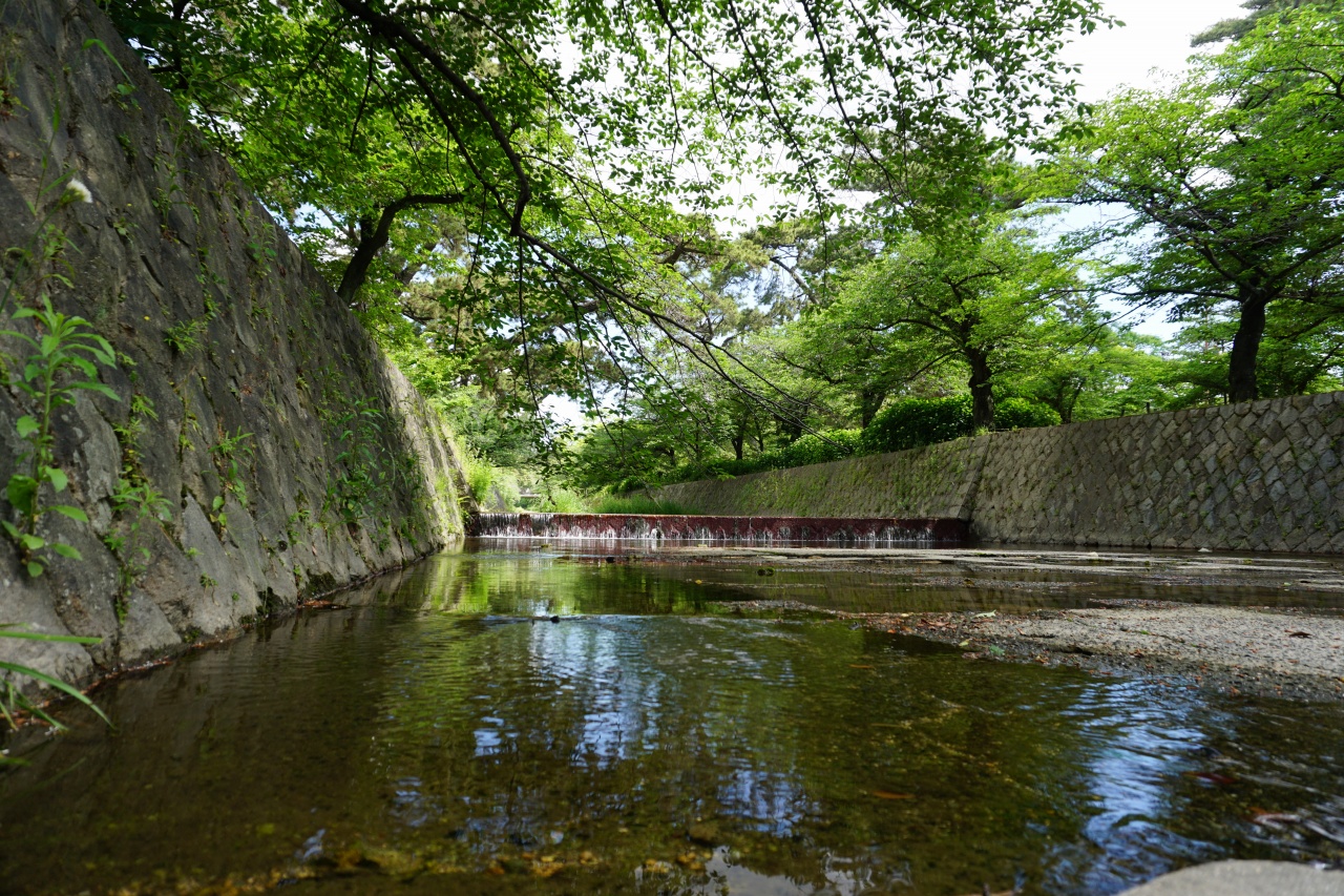 f:id:roamingaroundjp:20180319221914j:plain f:id:roamingaroundjp:20180319221914j:plain