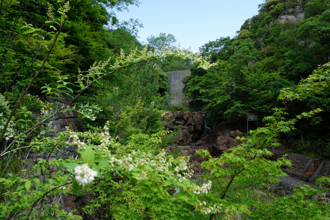 f:id:roamingaroundjp:20180319221921j:plain f:id:roamingaroundjp:20180319221921j:plain