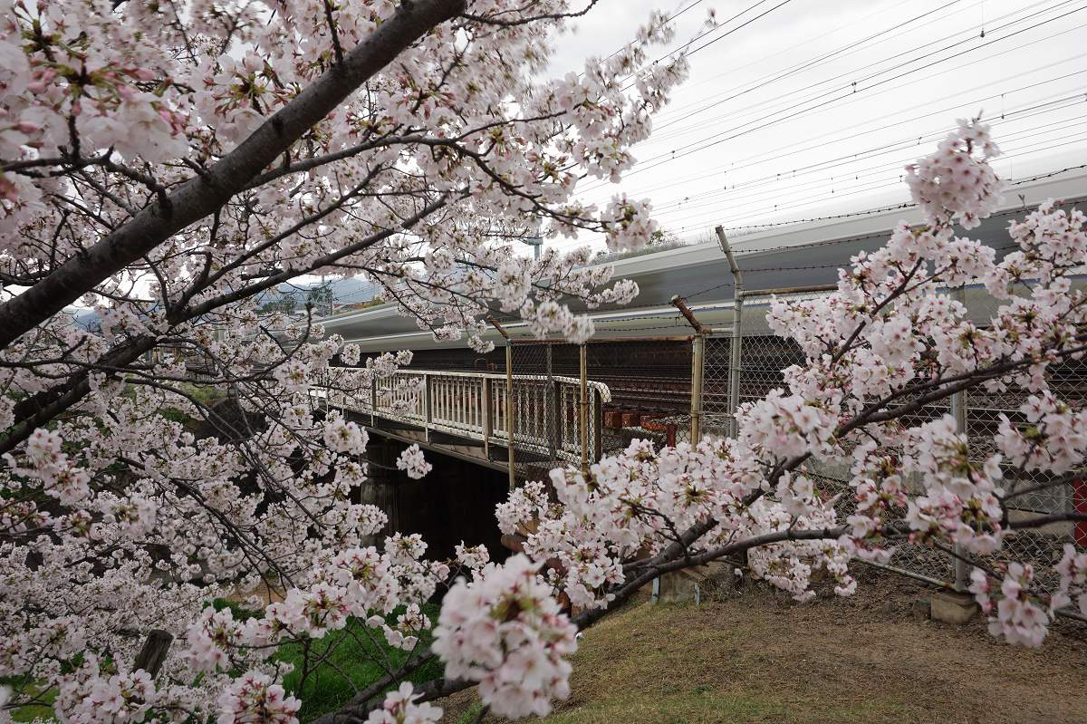 f:id:roamingaroundjp:20180407144912j:plain f:id:roamingaroundjp:20180407144912j:plain