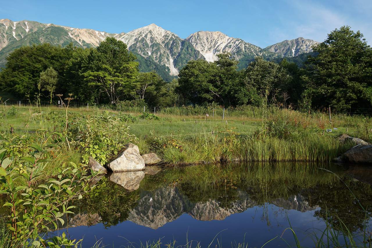 f:id:roamingaroundjp:20180819191914j:plain f:id:roamingaroundjp:20180819191914j:plain