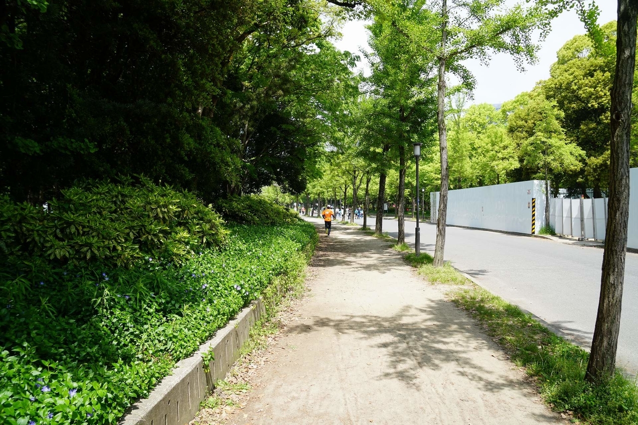 f:id:roamingaroundjp:20181024221546j:plain