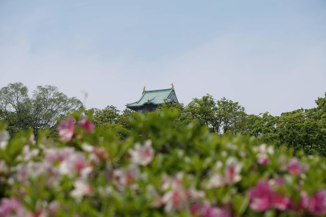 f:id:roamingaroundjp:20181024221547j:plain