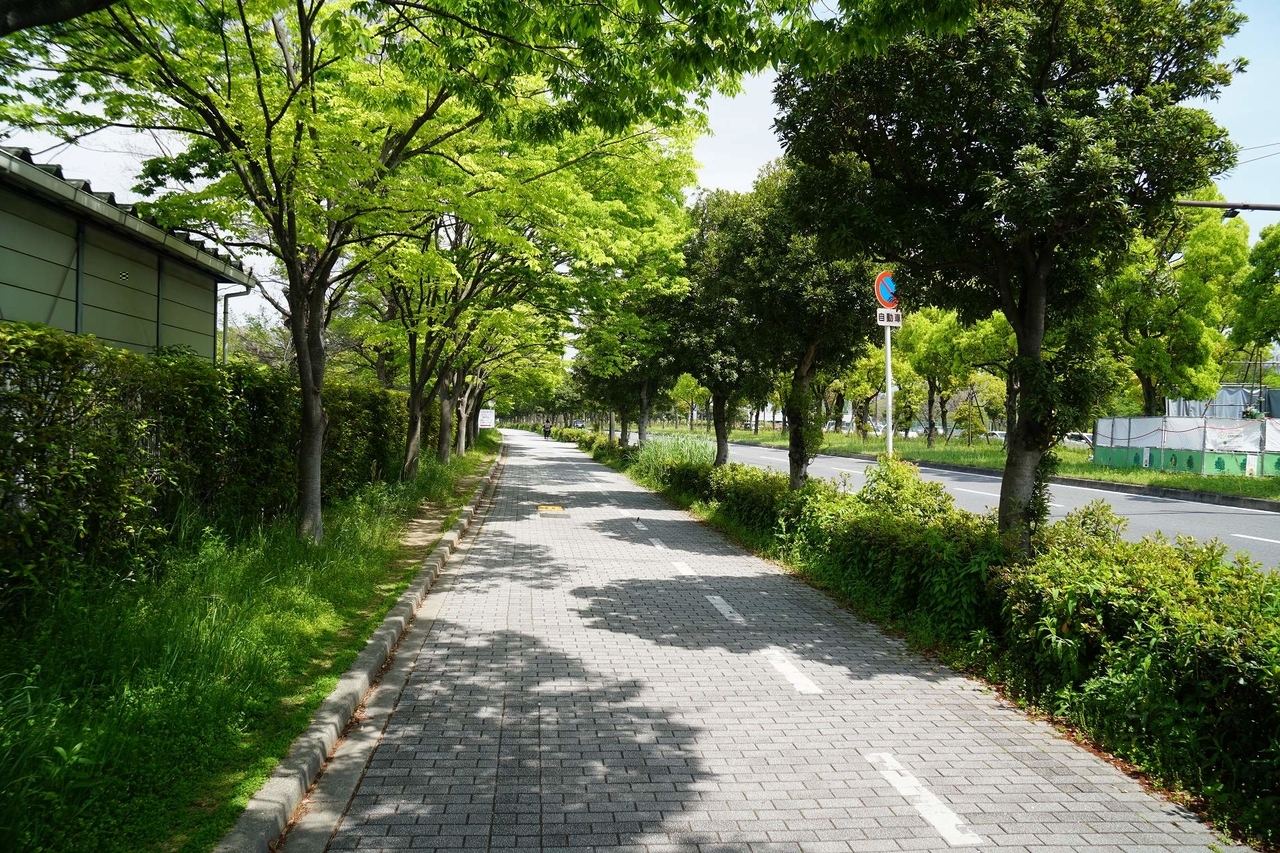 f:id:roamingaroundjp:20181024221557j:plain